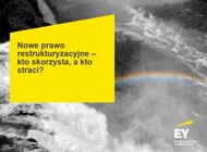 Prawo restrukturyzacyjne otwiera nowe możliwości przed firmami zagrożonymi upadłością