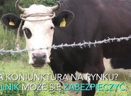 Ubezpieczenia upraw są dofinansowywane. Dlaczego tylko co trzeci rolnik z nich korzysta?