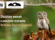 Wniosek o utworzenie nowego rezerwatu „Reliktowa Puszcza Karpacka” odrzucony!