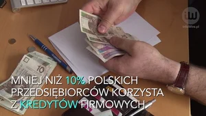 Tylko 10% polskich firm bierze kredyty. Czego się obawiają?