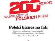 To nie był rok gigantów - „Wprost” z rankingiem 200 największych polskich firm