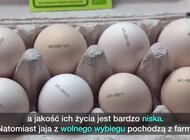 Jaja z chowu klatkowego znikają ze sklepów. Hodowców czekają wielkie zmiany