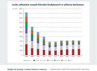 Wykres dnia BIK, 5 czerwca 2018 r.