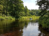 Najnowsze badanie w czasopiśmie Nature stwierdza: już tylko jedna trzecia najdłuższych rzek na świecie nie została przekształcona przez człowieka i płynie swobodnie!