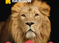 Rainbow  Królem Egzotyki - nowa kampania reklamowa