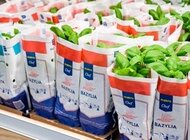 BIO zioła – MAKRO Polska ogranicza zużycie plastiku