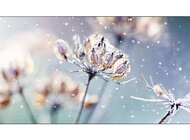 Samsung VMR-U – Video wall z wbudowanym SoC