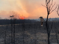 Australia płonie, Polska wysycha – katastrofa klimatyczna dzieje się na naszych oczach