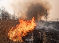 Płonie największy park narodowy w Polsce