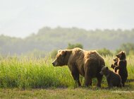 Rozwiązania są w przyrodzie - jak ratuje nas różnorodność biologiczna