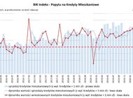 BIK Indeks – Popytu na Kredyty Mieszkaniowe wyniósł w maju 2020 r. (-24,2%)