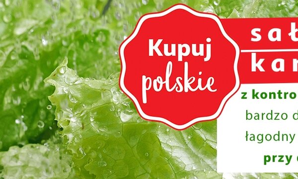 Auchan_Kupuj polskie_sałata.jpg