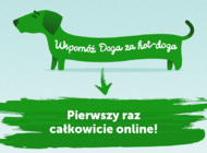 Performics z akcją „Wspomóż doga za hot-doga” w nowej odsłonie