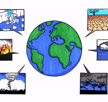 Ecology - our activities