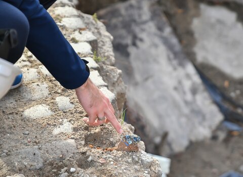 Zdjęcie przedstawia wykop archeologiczny. W lewym górnym rogu ręka wskazuje na przedmiot zalegający płytko pod ziemią. Pod nią fragment kostki brukowej.