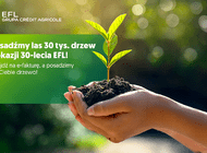 30 tysięcy drzew na 30 lat działalności. EFL posadzi las na Warmii