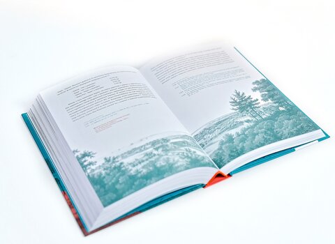 Zdjęcie przedstawia fragment książki. Na dole na obu stronach rycina przedstawiająca drzewa i widok na plażę. U góry na obu stronach tekst.  
