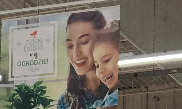 Auchan_ogórd_fot 3.jpg