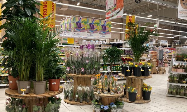 Auchan_ogród_fot 4.jpg