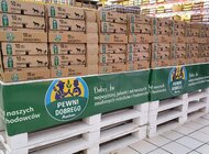 Auchan zapowiada całkowite wycofanie ze sprzedaży jaj z chowu klatkowego 