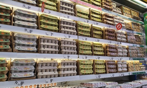 Auchan jajka fot 3