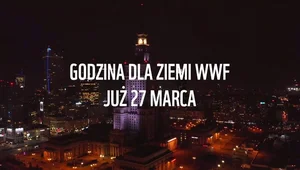 Skąd wziął się wielki dorsz na Pałacu Kultury?