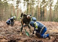 „Sadzimy kolejne pokolenie lasu” - akcja wolontariuszy Grupy Enea w lasach Nadleśnictwa Staszów