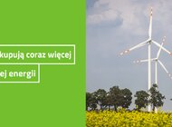 Firmy kupują coraz więcej zielonej energii