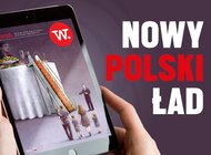 e-Wprost nr 20 (69): Premier o Polskim Ładzie, Ikonowicz o długach Polaków, wrzenie w PO, ranking największych polskich eksporterów, relacja ze Strefy Gazy