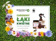 Razem chronimy łąki kwietne – współpraca WWF i Botanica by Air Wick