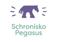 Provident adoptuje konia ze schroniska Pegasus. Ruszyła kampania To nie KONIEc