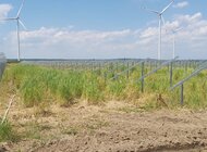 Budowa PV Gryf posuwa się do przodu