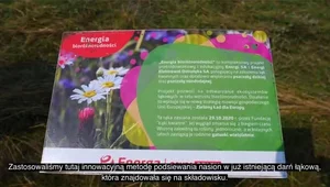 Energa wspiera bioróżnorodność w Ostrołęce