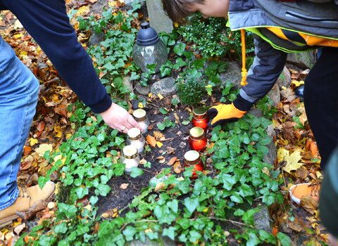 Zdjęcie. Uczniowie porządkujący nagrobek zarośnięty trawą. 