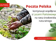 Kolejne „zielone” inicjatywy Pocztowców. Ochotnicy pomagają odbudować kolejne lasy 