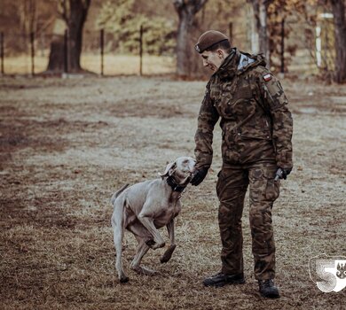 Szkolenie grupy poszukiwawczo-ratowniczej K9