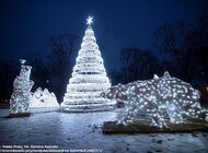 Które miasto świeci się najpiękniej w Polsce? Trwa finał Świeć się z Energą