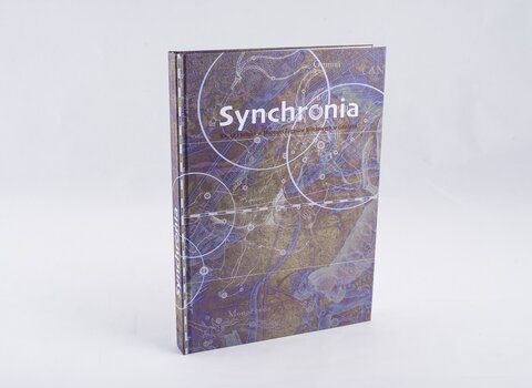 Zdjęcie okładki książki Synchronia. 