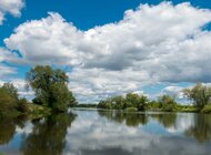 Stanowisko Fundacji WWF Polska ws. rządowych planów odbudowy Odry 