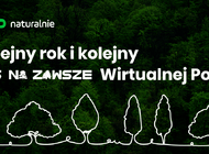 Kolejny las Wirtualnej Polski