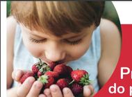 Blisko milion złotych dla Banków Żywności dzięki zbiórce w sklepach Auchan poprzez Aplikację Donateo