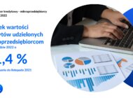 Sprzedaż kredytów dla mikrofirm w listopadzie 2022 r. Newsletter BIK - Mikroprzedsiębiorcy.