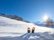 Noworoczny detoks na łonie natury - wypoczynek w stylu slow life w gospodarstwach Roter Hahn z widokiem na Dolomity