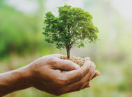 Tu wzrastają talenty – Politechnika Gdańska zaprasza na dzień otwarty