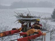 Zgłoś bociany do programu mieszkaniowego Energi Operatora