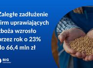 Rosną długi producentów zboża