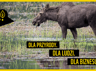 Czy w Polsce możemy powtórzyć sukces Patagonii? Jak inwestować w przyrodę, aby najskuteczniej wspierać strategię klimatyczną firmy?