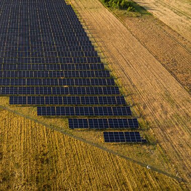 Żuki farma solarna