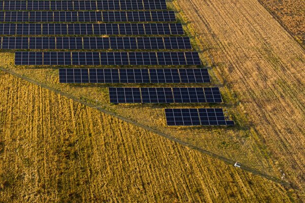 Żuki farma solarna