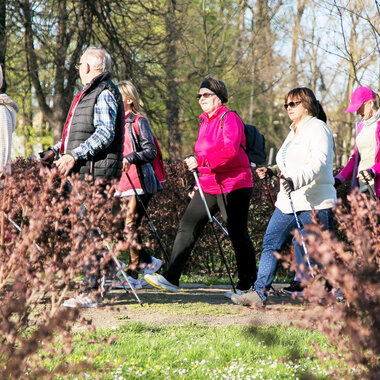 Eko-Zdrowie KGHM - nordic walking